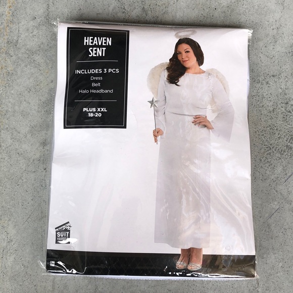 Heaven Sent Adult Costume! New! - Picture 2 of 4